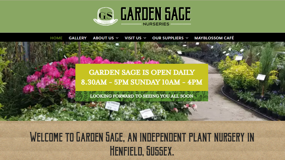 Garden Sage